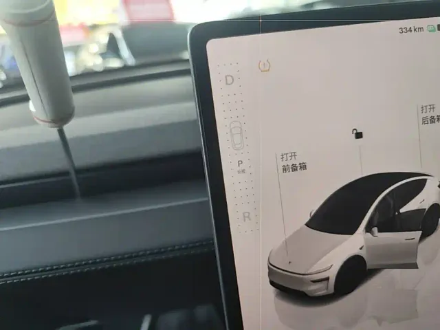 Tesla Model Y — Фото автомобиля 13