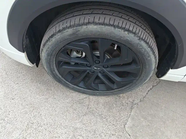 JAC Motors JAC QX PHEV — Фото автомобиля 22