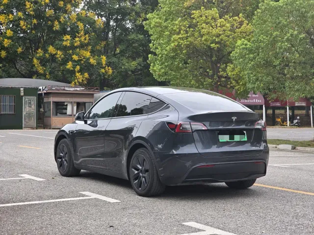 Tesla Model Y — Фото автомобиля 16