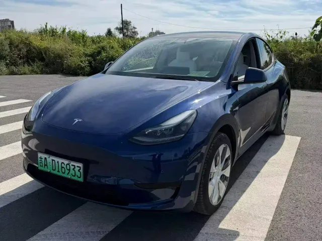 Tesla Model Y — Фото автомобиля 2