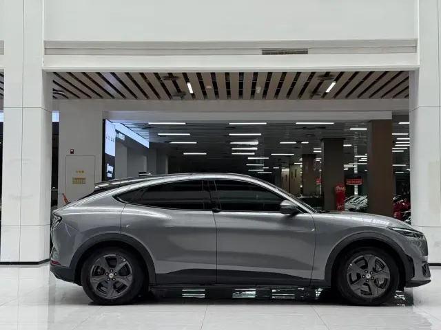 Ford Mustang Mach-E — Фото автомобиля 4