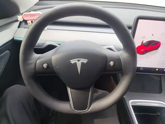 Tesla Model Y — Фото автомобиля 10