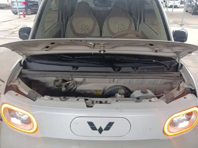 Wuling Hongguang Mini EV — Фото автомобиля 19