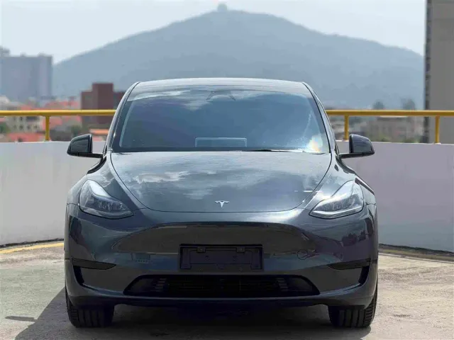 Tesla Model Y — Фото автомобиля 2