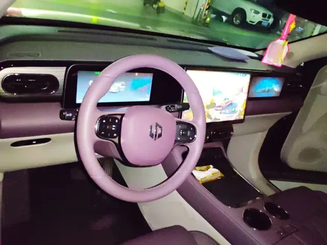 Leapmotor Leapmotor C11 2024 Pure Electric 580 Premium Edition — Фото автомобиля 5