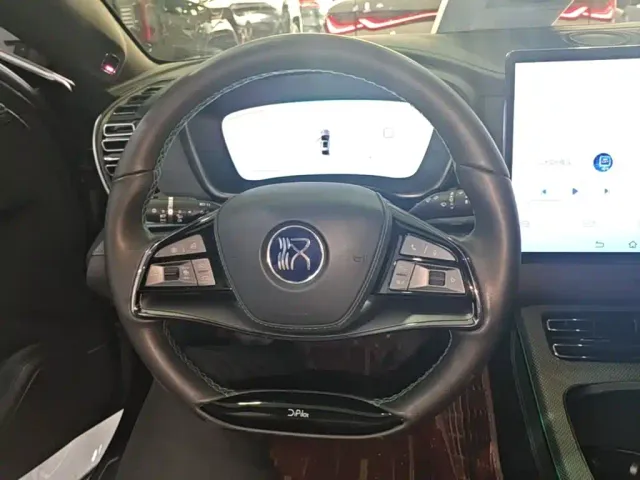 BYD Han — Фото автомобиля 10