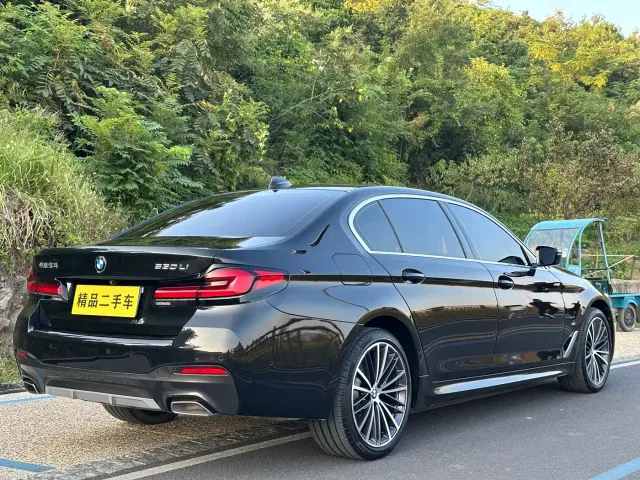 BMW 5 Series — Фото автомобиля 15