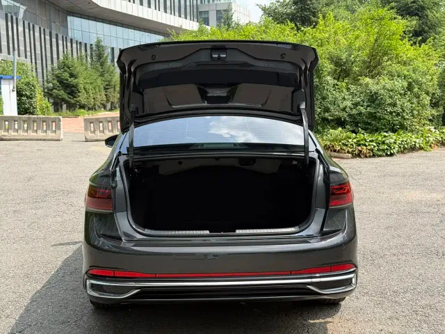 Volkswagen Sagitar — Фото автомобиля 18