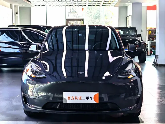 Tesla Model Y — Фото автомобиля 4