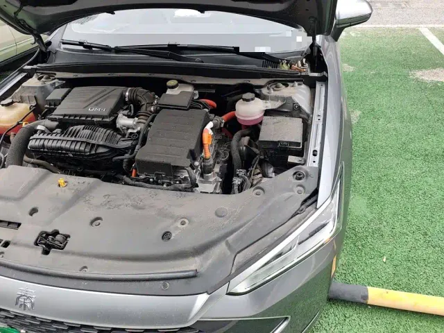 BYD Qin PLUS — Фото автомобиля 22