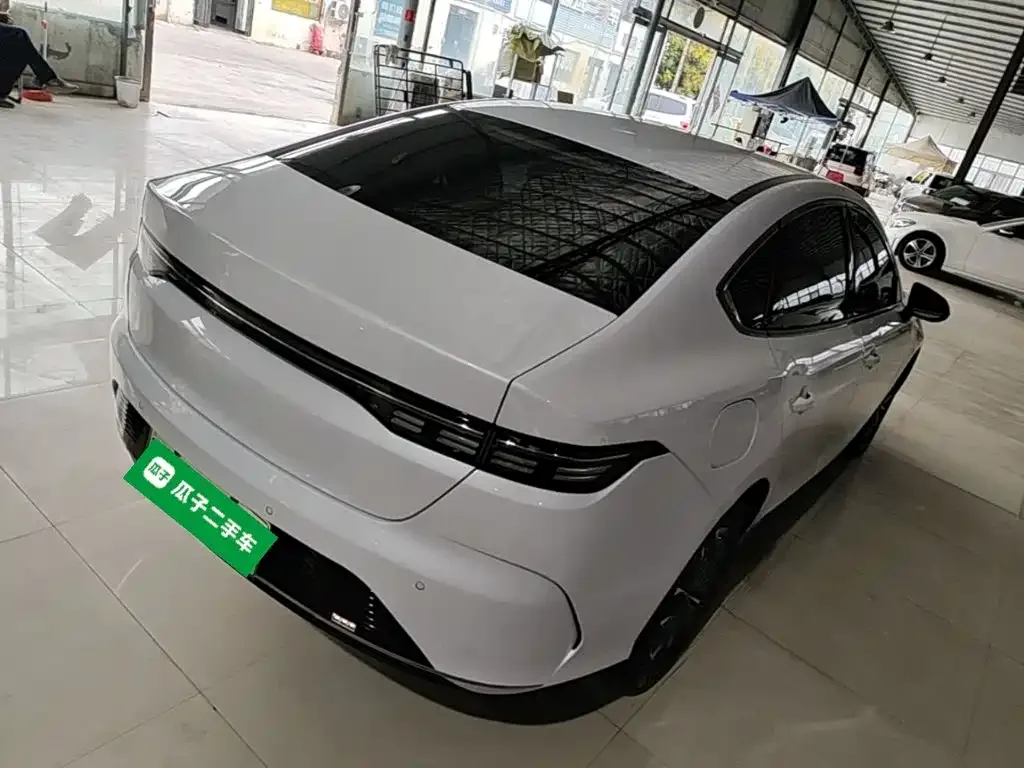 BYD Destroyer 05 2024 Glory Edition DM-i 55KM Luxury — Фото автомобиля 6