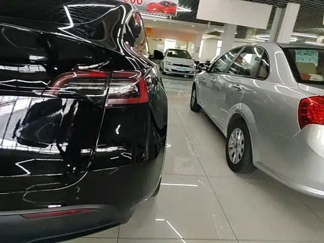 Tesla Model Y — Фото автомобиля 23