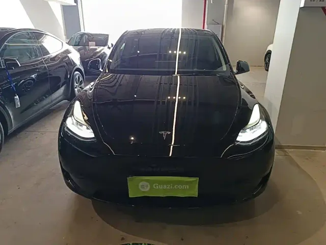 Tesla Model Y — Фото автомобиля 2