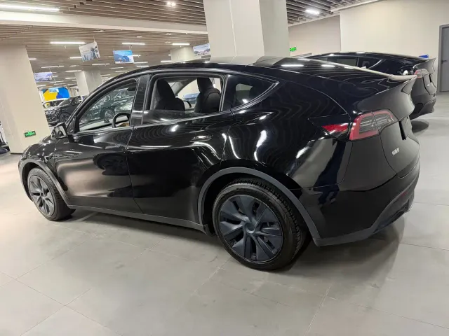 Tesla Model Y — Фото автомобиля 8