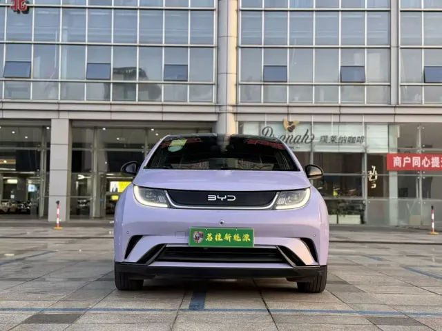 BYD Dolphin — Фото автомобиля 2