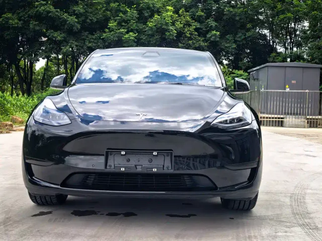 Tesla Model Y — Фото автомобиля 2