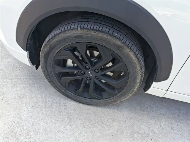 JAC Motors JAC QX PHEV — Фото автомобиля 22