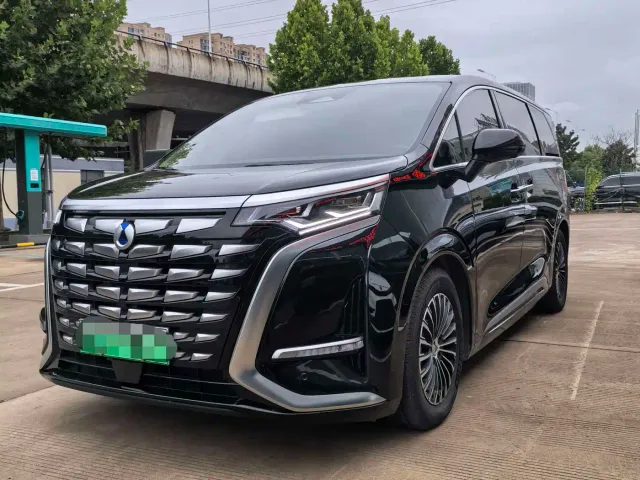 Фотография автомобиля — Denza D9