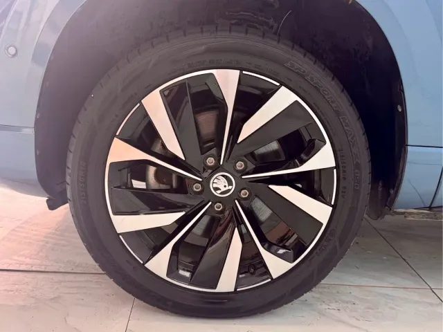 Skoda Karoq — Фото автомобиля 19
