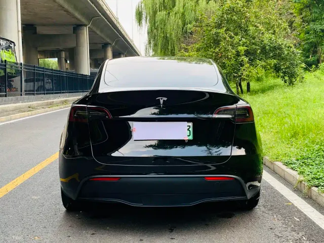 Tesla Model Y — Фото автомобиля 15