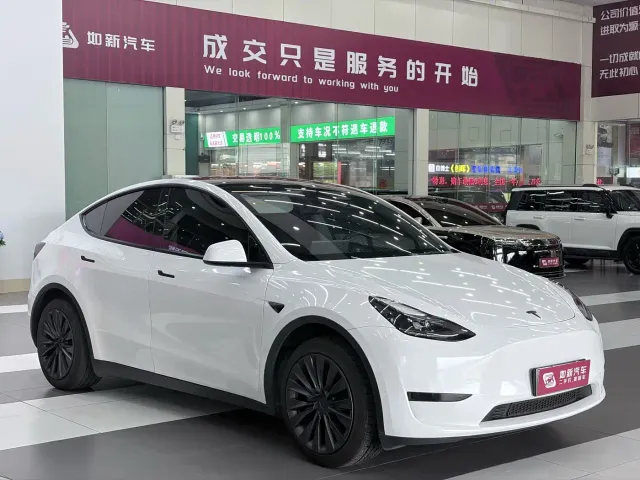 Tesla Model Y — Фото автомобиля 2