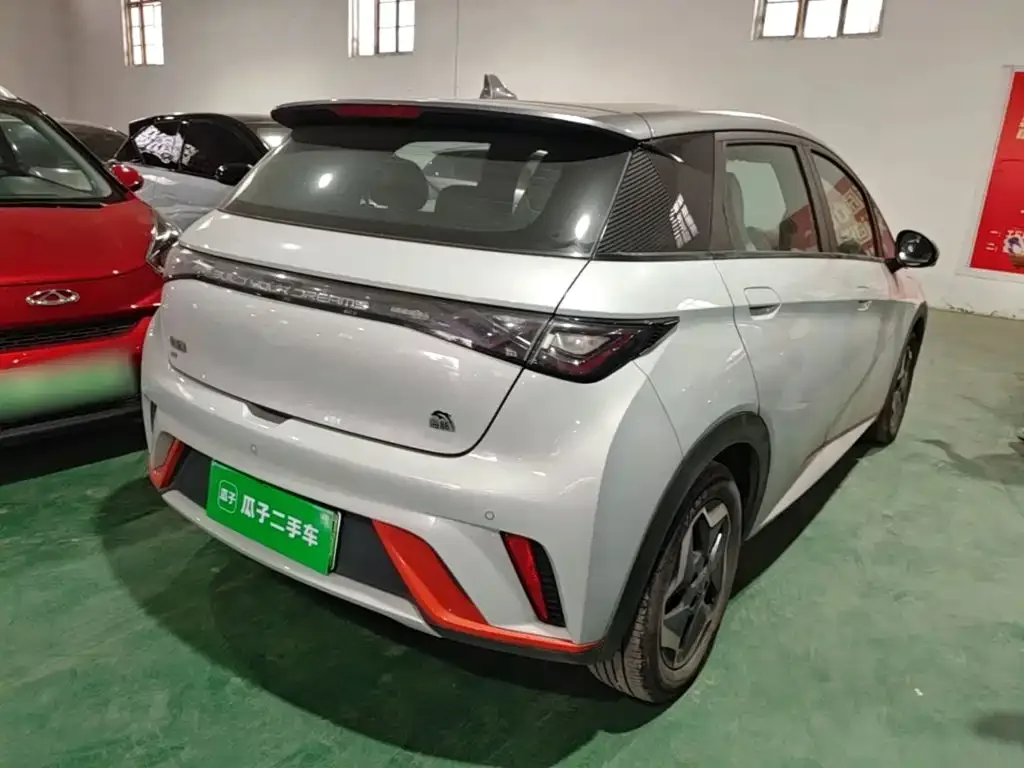 BYD Dolphin 2021 405km Freedom Edition — Фото автомобиля 6