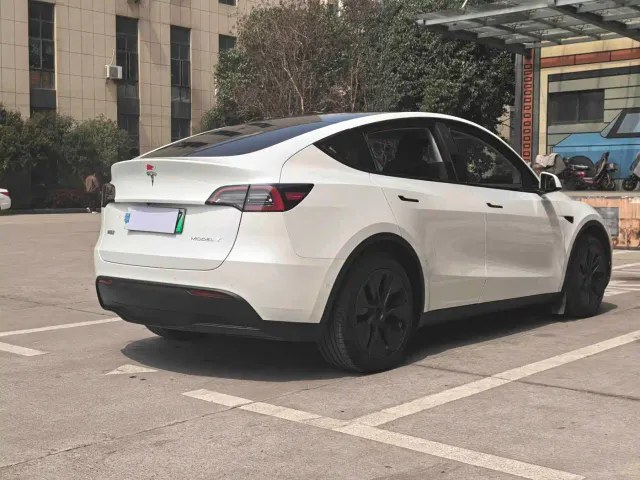 Tesla Model Y — Фото автомобиля 7