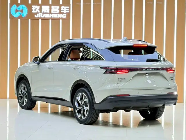 Haval Xiaolong MAX — Фото автомобиля 23