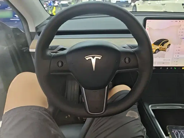 Tesla Model Y — Фото автомобиля 10