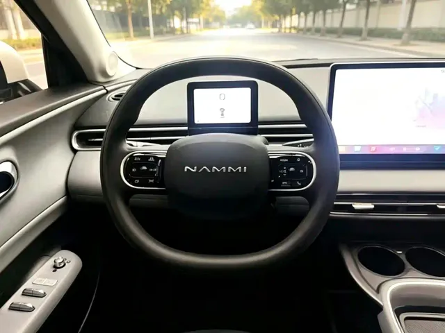 Nammi 01 — Фото автомобиля 7