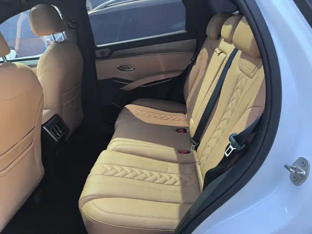 BYD Song L DM-i — Фото автомобиля 12
