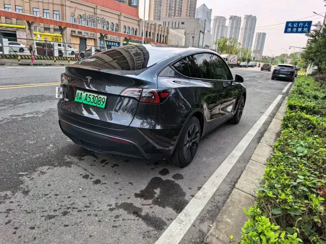 Tesla Model Y — Фото автомобиля 9