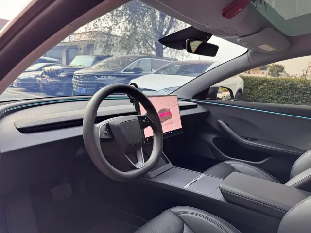 Tesla Model 3 2025 Model Rear-Wheel Drive Edition — Фото автомобиля 8