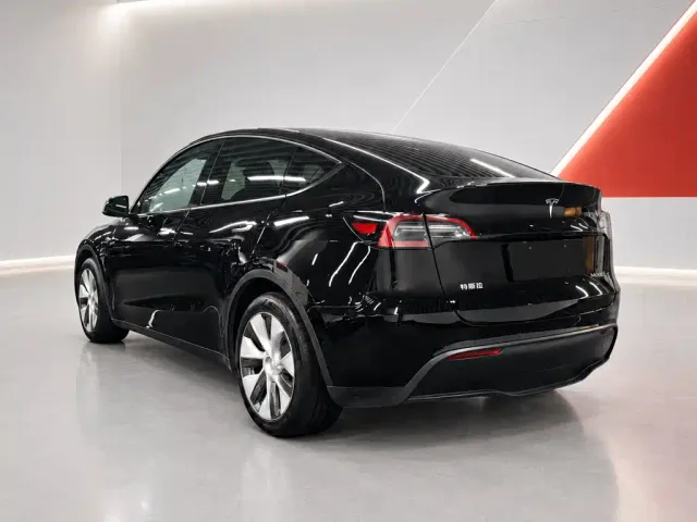 Tesla Model Y — Фото автомобиля 4