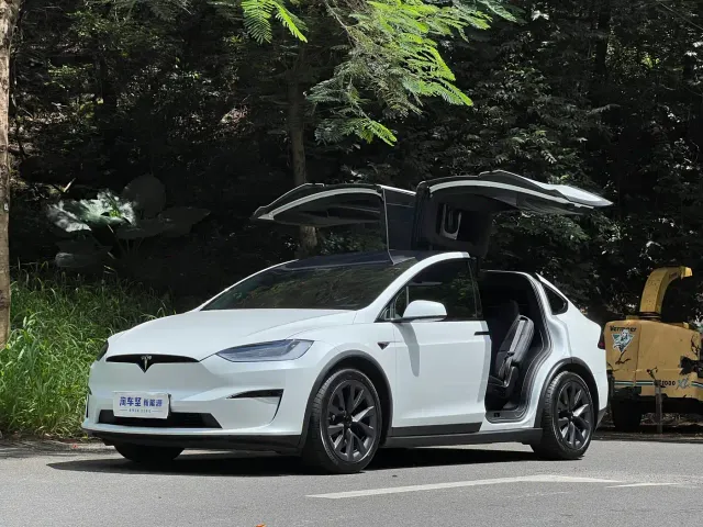Фотография автомобиля — Tesla Model X