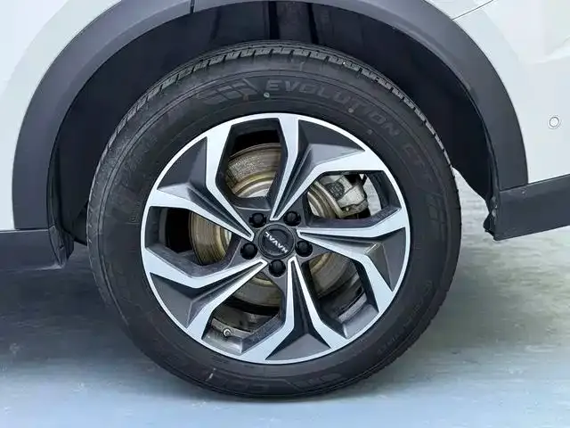 Haval Xiaolong MAX — Фото автомобиля 19