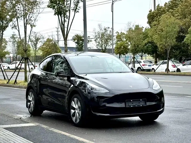 Tesla Model Y — Фото автомобиля 3