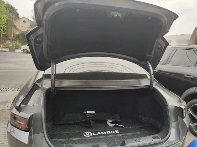 Changan Lamore — Фото автомобиля 14