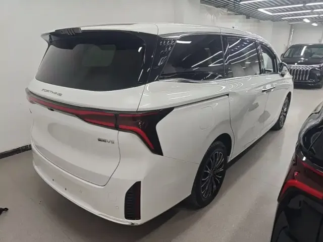 Forthing Xinghai V9 — Фото автомобиля 6