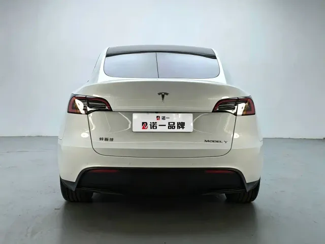 Tesla Model Y — Фото автомобиля 4