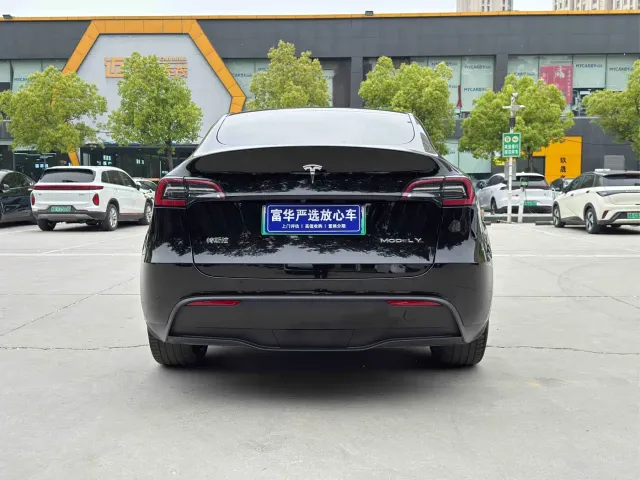 Tesla Model Y — Фото автомобиля 11