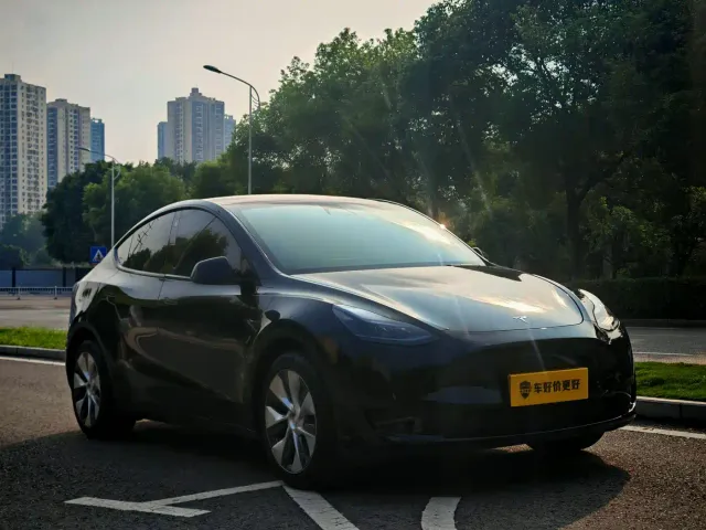 Tesla Model Y — Фото автомобиля 3