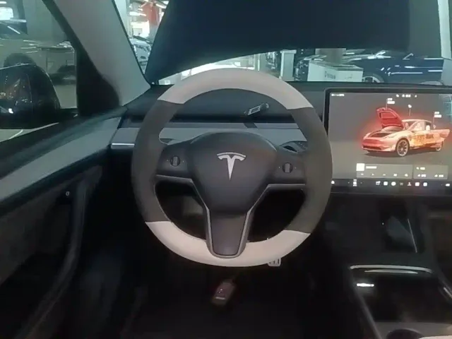 Tesla Model Y — Фото автомобиля 10