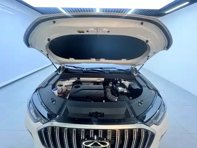 Chery Tiggo 9 — Фото автомобиля 12