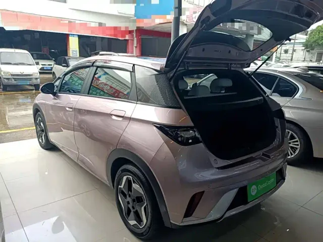 BYD Dolphin — Фото автомобиля 4