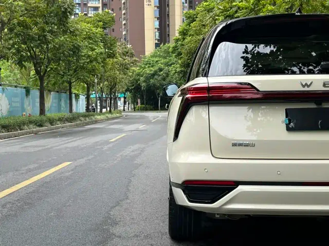 Wey Lanshan — Фото автомобиля 18