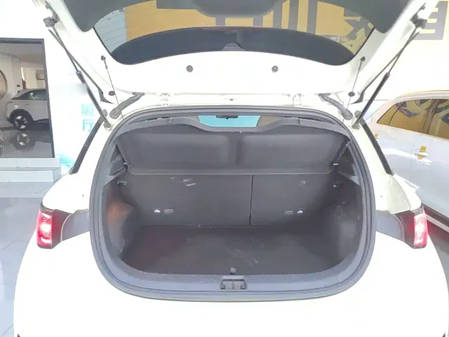 BYD Dolphin — Фото автомобиля 18