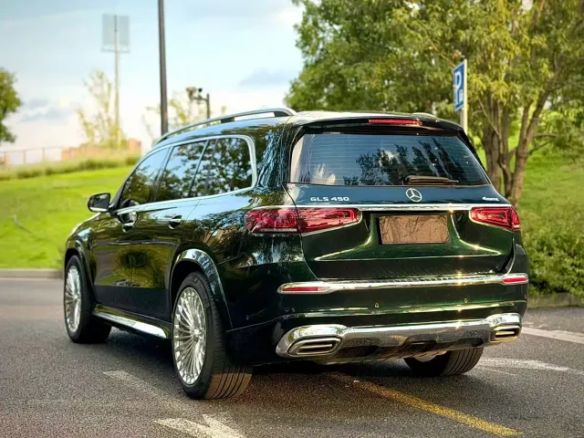 Mercedes-Benz GLS-Class — Фото автомобиля 5