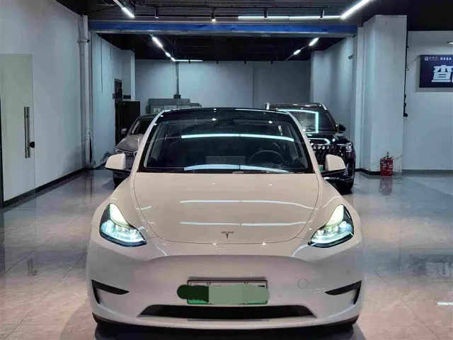 Tesla Model Y — Фото автомобиля 2