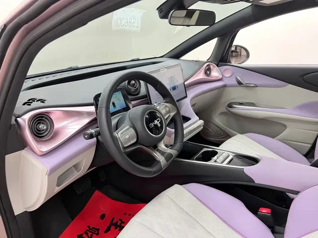 BYD Dolphin — Фото автомобиля 14